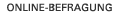 Online-Befragung