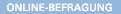 Online-Befragung